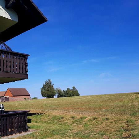 Geishoehe Landgasthof Rose Dammbach Cameră foto